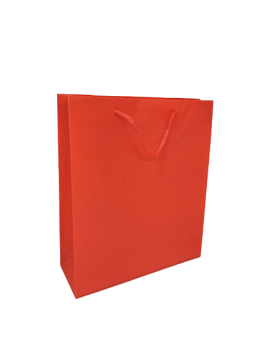 Sac cadeau 31*39*9cm 12p...